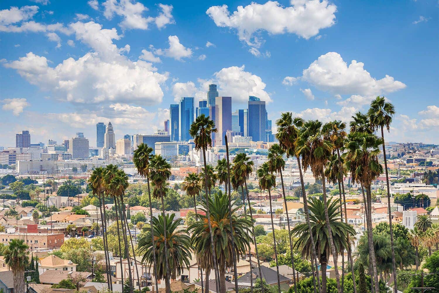 Los Angeles Skyline